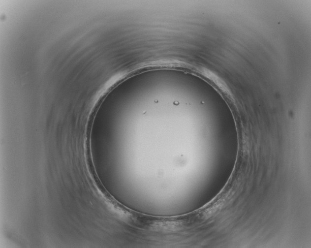 X0000073451237200608111342