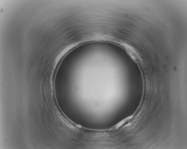 X0000073451238200608111342