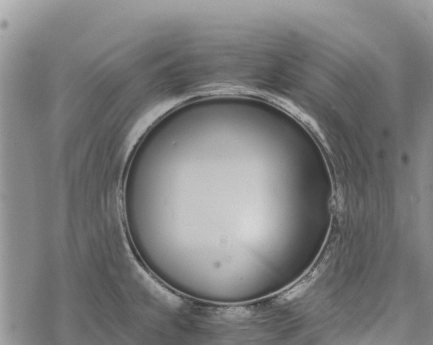 X0000073451239200608111342