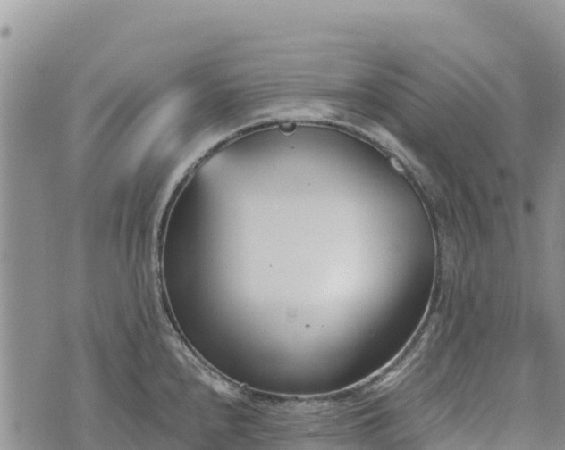 X0000073451240200608111342