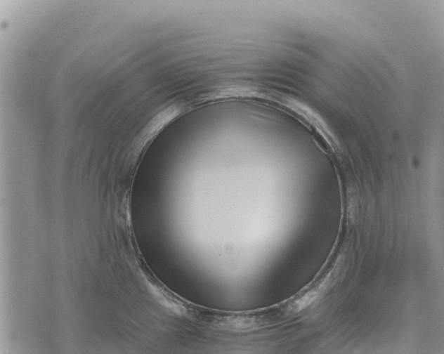 X0000073451241200608111342