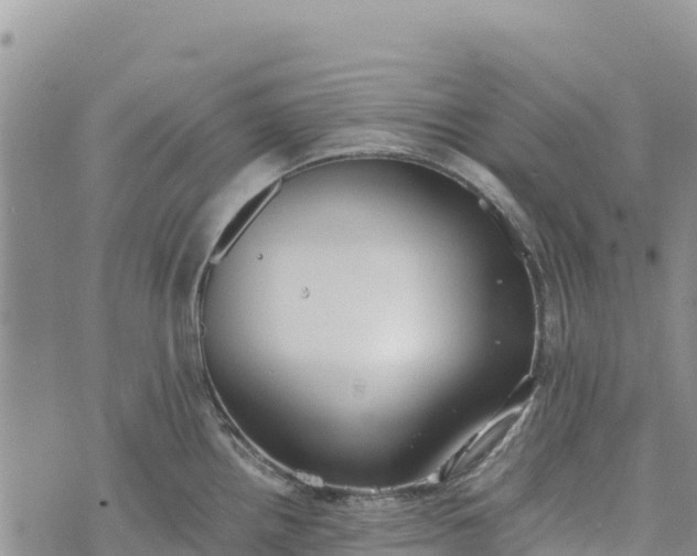 X0000073451242200608111342