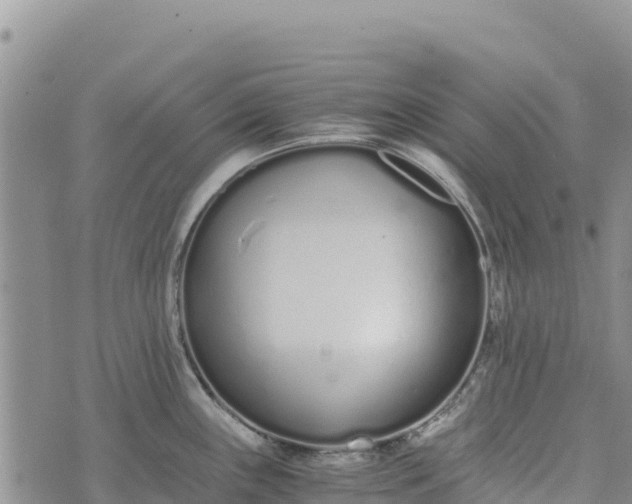 X0000073451243200608111342