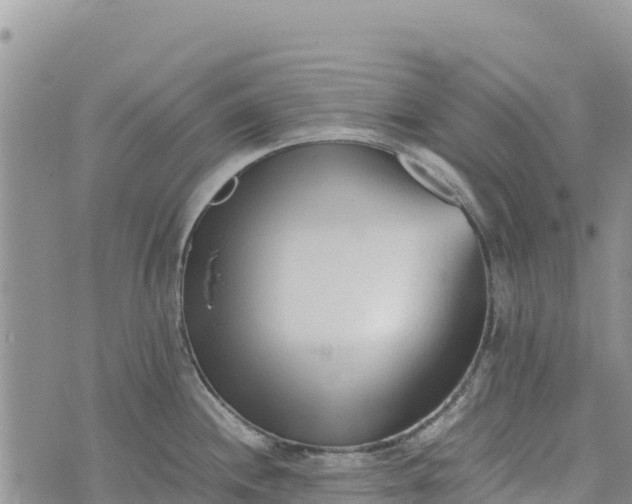 X0000073451244200608111342