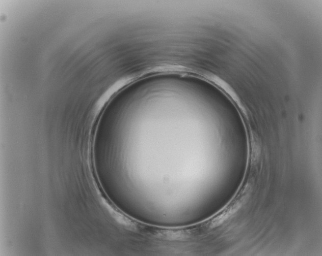 X0000073451245200608111342