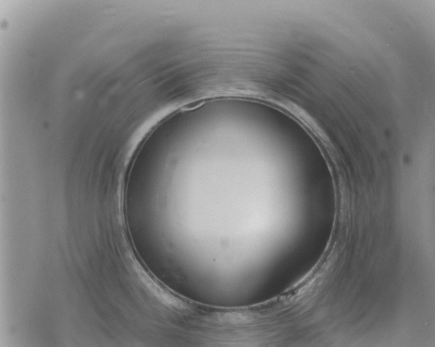 X0000073451246200608111342