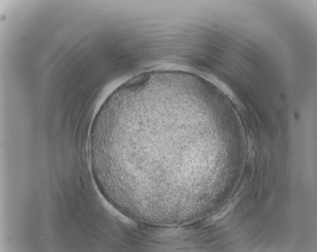 X0000073451247200608111342