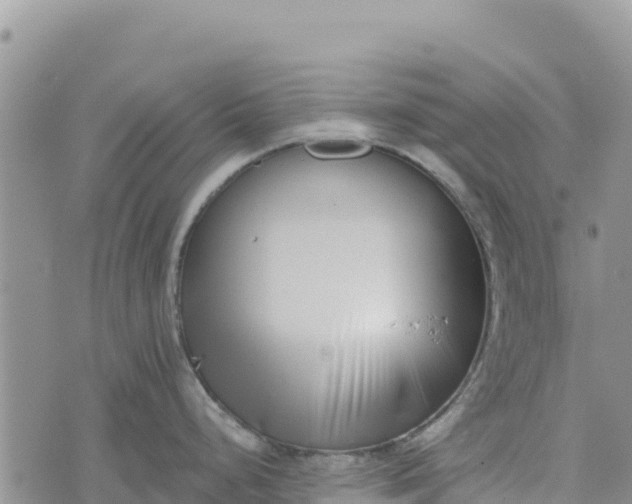 X0000073451248200608111342