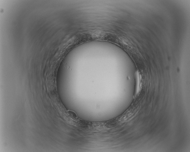 X0000073451249200608111341