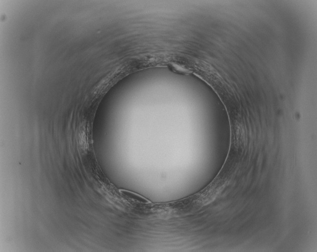 X0000073451250200608111341