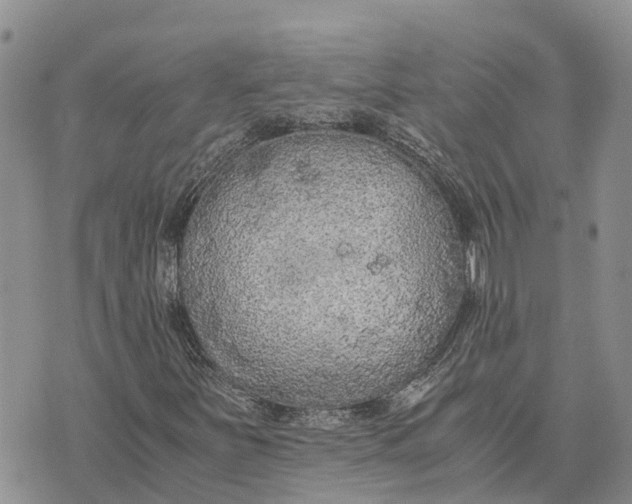 X0000073451251200608111341