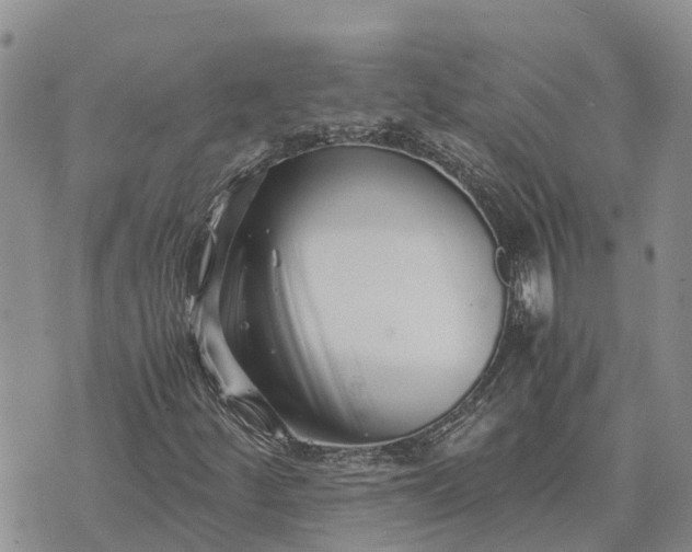 X0000073451252200608111341