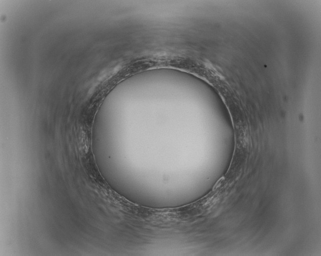 X0000073451253200608111341