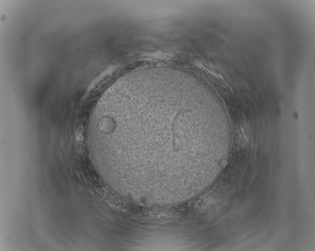 X0000073451254200608111341