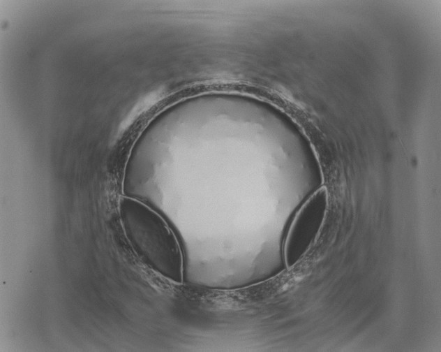 X0000073451255200608111341