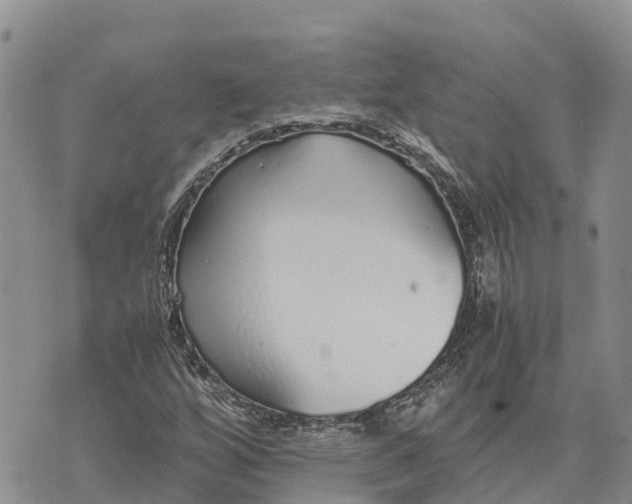 X0000073451256200608111341