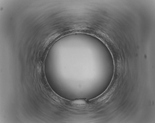 X0000073451257200608111341