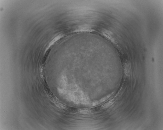 X0000073451258200608111341