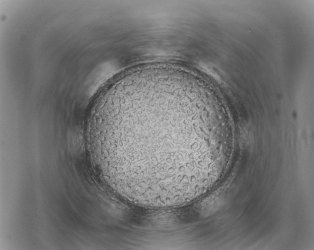 X0000073451259200608111341