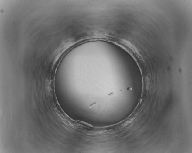 X0000073451260200608111341