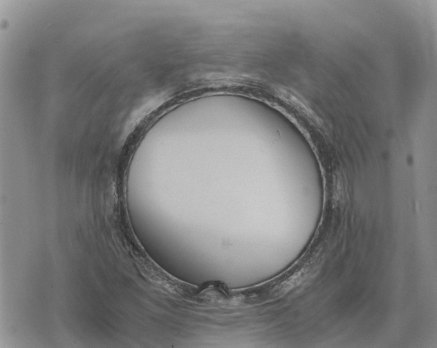 X0000073451261200608111341