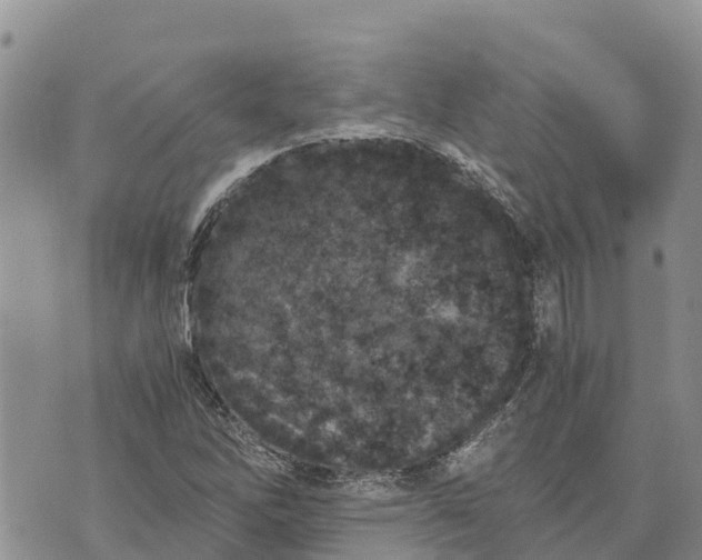 X0000073451262200608111341