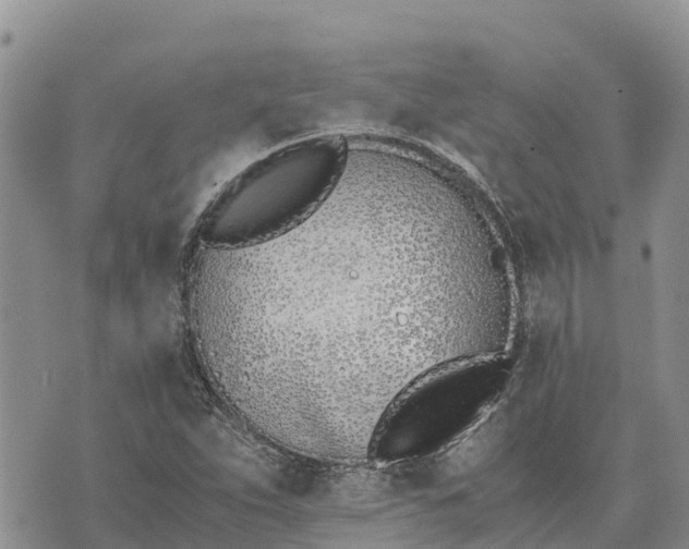 X0000073451263200608111341