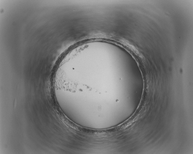 X0000073451264200608111341