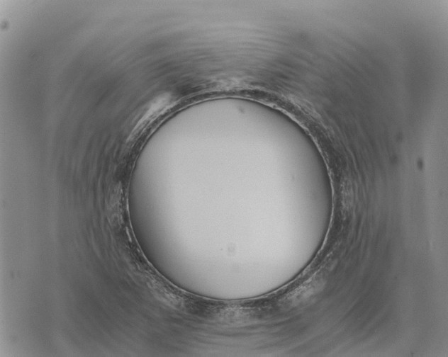 X0000073451265200608111341