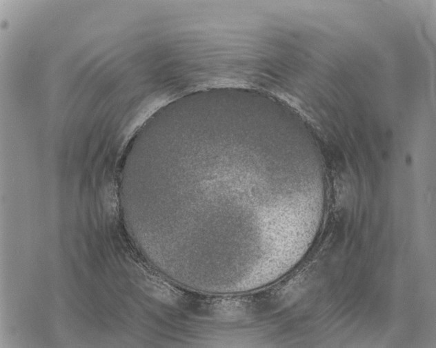 X0000073451266200608111341