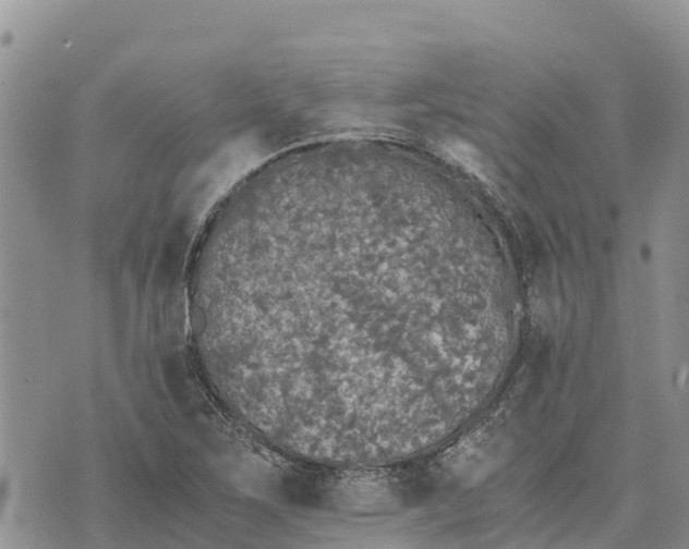 X0000073451267200608111341