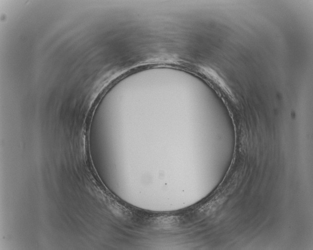 X0000073451268200608111341