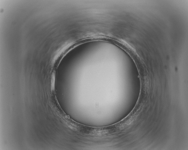 X0000073451269200608111341