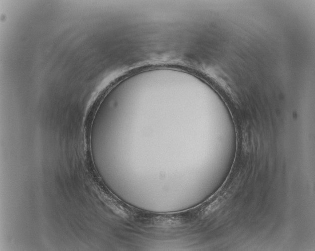 X0000073451270200608111341