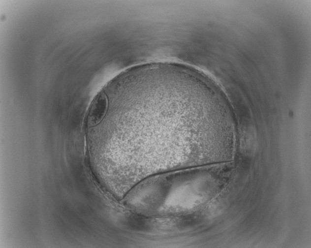 X0000073451271200608111341