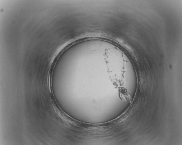 X0000073451272200608111341