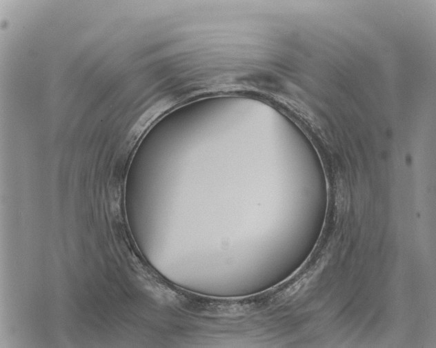 X0000073451273200608111341