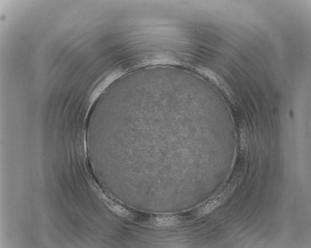 X0000073451274200608111341