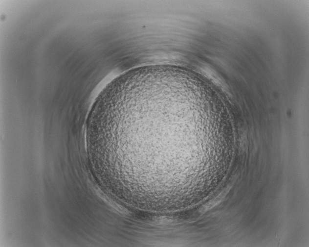 X0000073451275200608111341