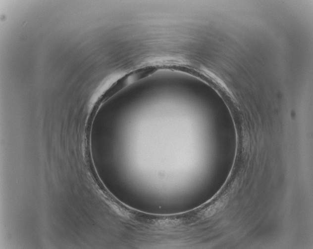 X0000073451277200608111341