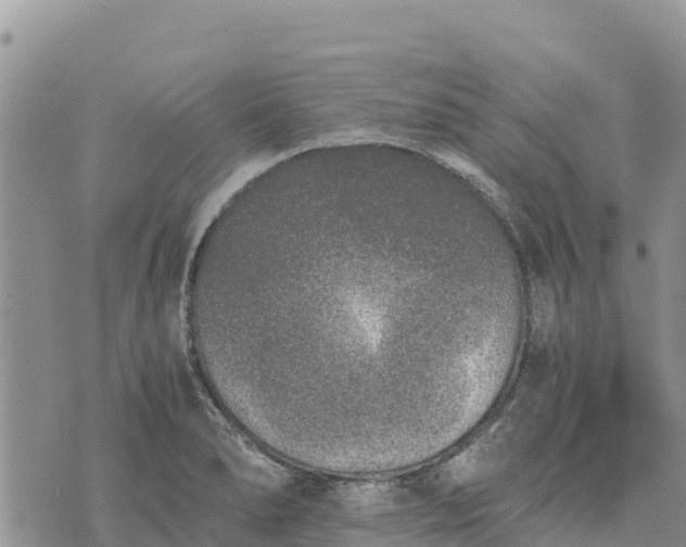 X0000073451278200608111341