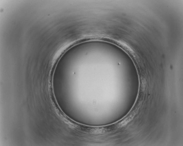 X0000073451279200608111341