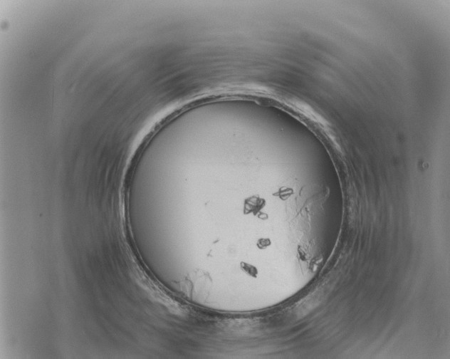 X0000073451280200608111341