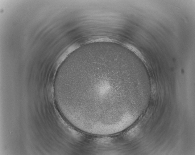 X0000073451282200608111341