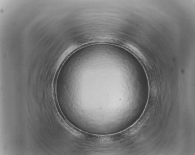 X0000073451283200608111341