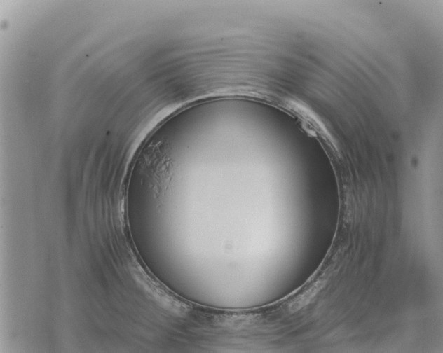 X0000073451284200608111341