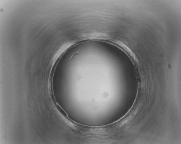 X0000073451285200608111341