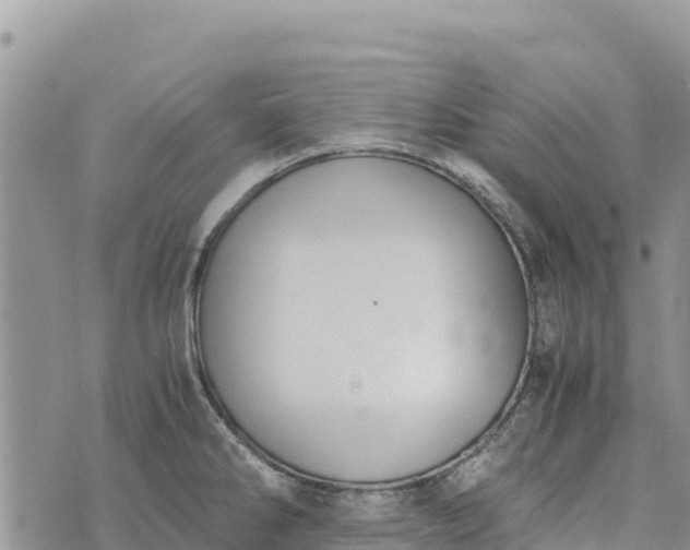 X0000073451286200608111341