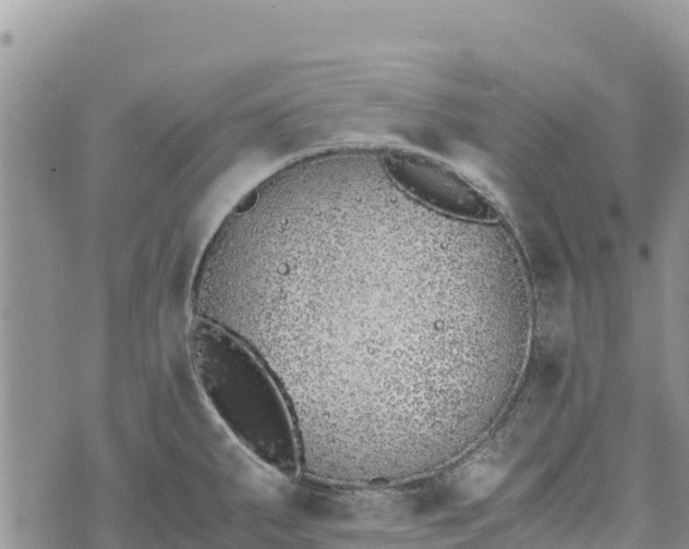 X0000073451287200608111341