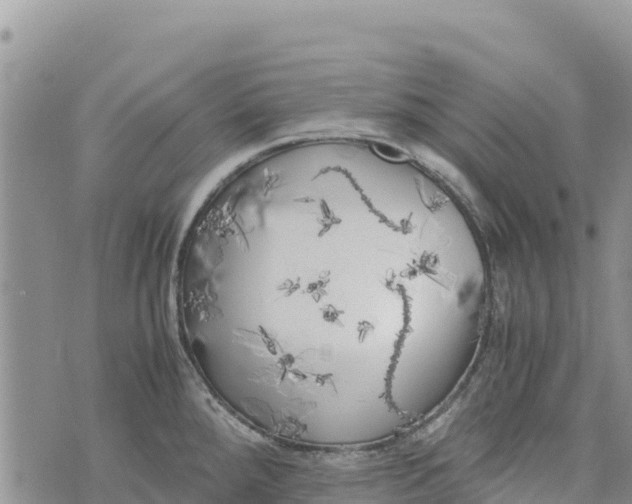 X0000073451288200608111341